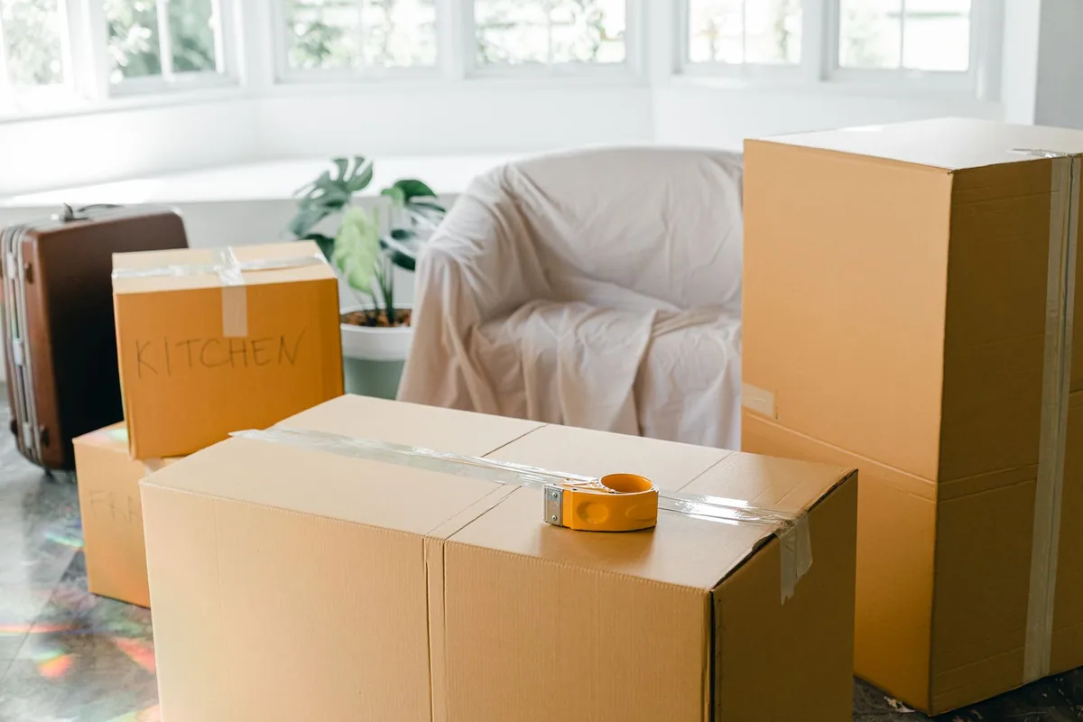 Hoarding Cleanup in Ballast Point, Tampa, FL
